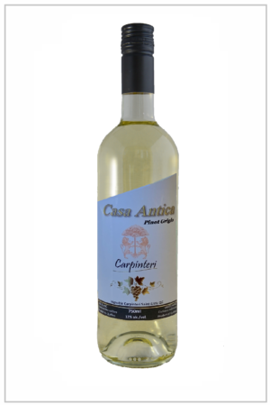 Pinot Grigio Casa Antica