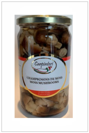 Champignons de Moss d'Italie dans huile Carpinteri